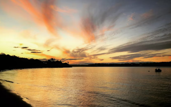 Kiama Blowhole, Farmlands and Beaches Full-Day Tour from Sydney - Image 3